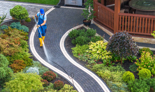 Best House Pressure Washing  in Saranap, CA